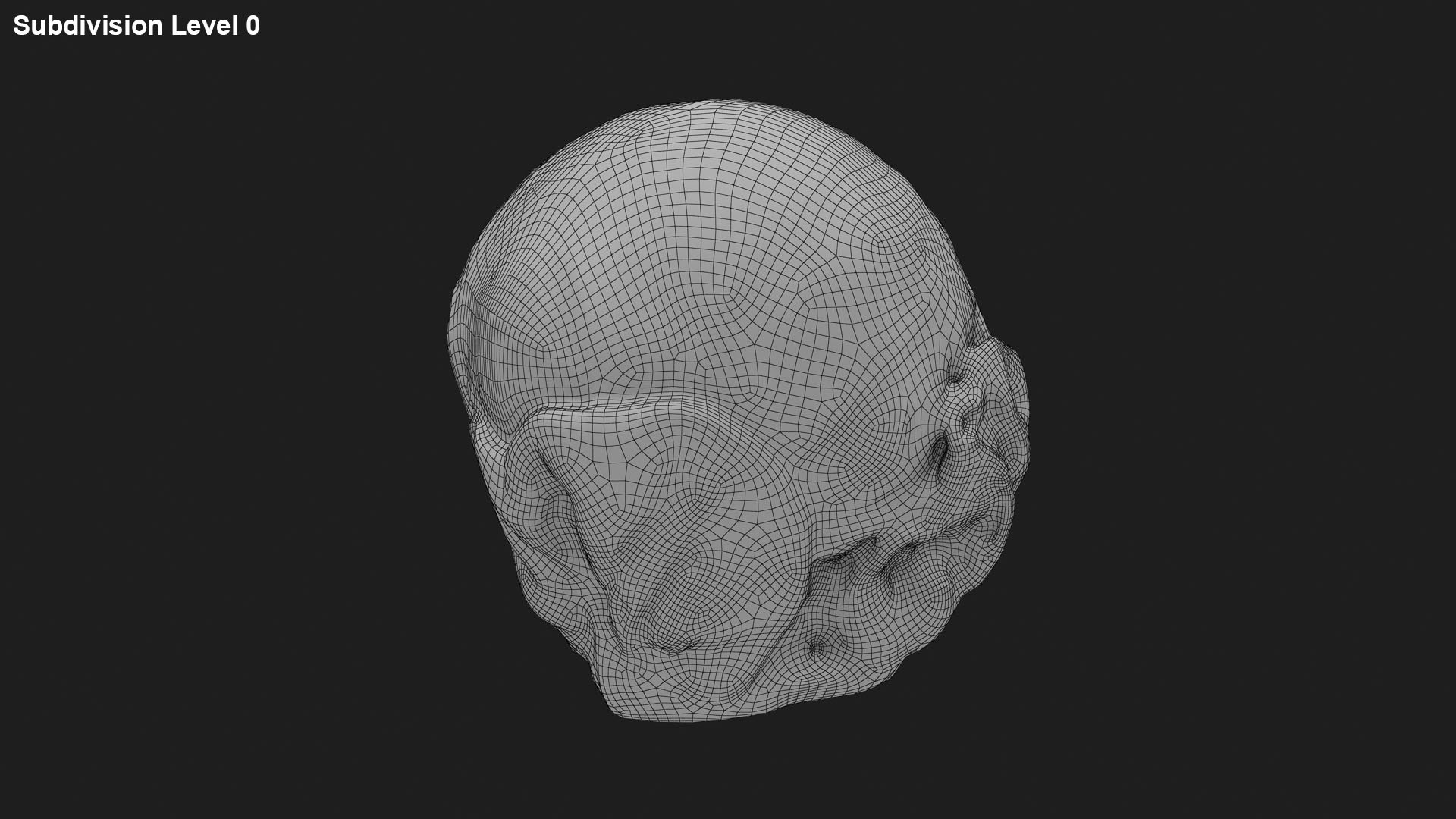 3D Brussels Sprout Collection model https://p.turbosquid.com/ts-thumb/ep/9qu5IC/dN/brusselssprout05_g0001/jpg/1735832848/1920x1080/fit_q87/3353019316c40f57d66c0dad16e177480b268906/brusselssprout05_g0001.jpg