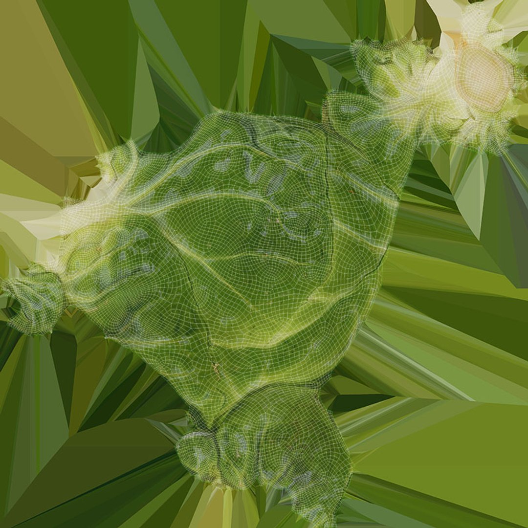 3D Brussels Sprout Collection model https://p.turbosquid.com/ts-thumb/ep/9qu5IC/iu/brusselssprout02_d0004/jpg/1735832804/1920x1080/fit_q87/12b0ff2e9425162143ce7d310635165e402368f8/brusselssprout02_d0004.jpg