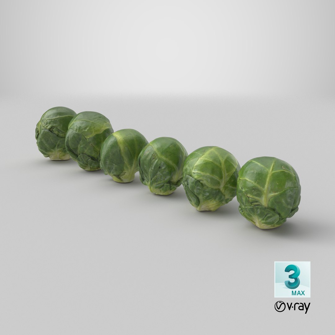 3D Brussels Sprout Collection model https://p.turbosquid.com/ts-thumb/ep/9qu5IC/pj/stemcell_max_vray_render/png/1736874347/1920x1080/fit_q87/3a59f63a3c2e645b705196863460312986b8a84b/stemcell_max_vray_render.jpg