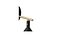 Cast Sconce Wall Lamp