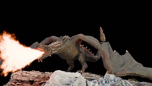 Dragon 3D Model Low-poly model
