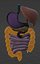 normal anatomy of the digestive tract