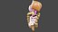 normal anatomy of the digestive tract
