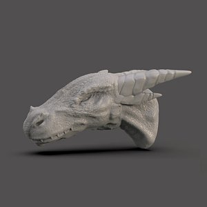 3D Dragon Head