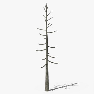 Dead Pine v1 3D model