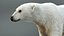 Polar Bear RIG XGEN-CORE