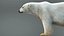 Polar Bear RIG XGEN-CORE