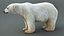 Polar Bear RIG XGEN-CORE