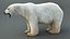Polar Bear RIG XGEN-CORE