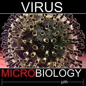 Generic Virus 2