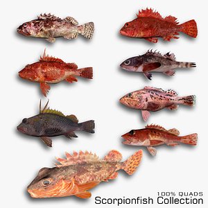 3D Scorpionfish Collection model