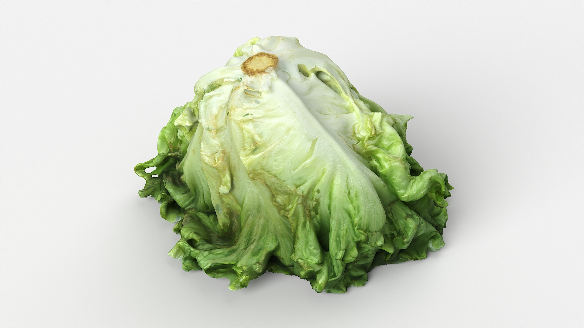 3D Salad Head 10 slightly withered https://p.turbosquid.com/ts-thumb/eq/7fJhpF/RK/tt_/jpg/1657808560/1920x1080/turn_fit_q99/65f7054021b133c8a43b866829d7ed1c6094ed83/tt_-1.jpg