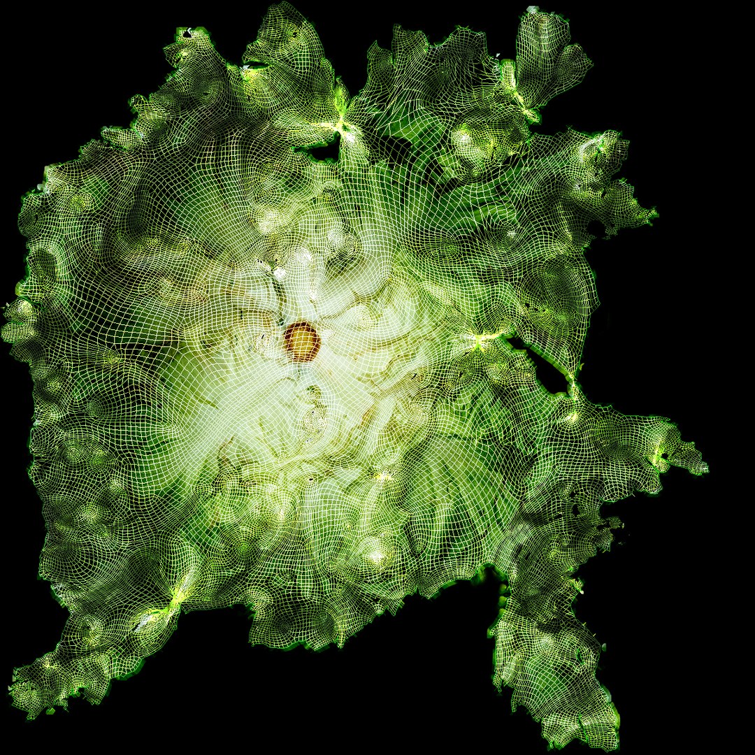 3D Salad Head 10 slightly withered https://p.turbosquid.com/ts-thumb/eq/7fJhpF/Zr/uv/jpg/1657808557/1920x1080/fit_q87/0ed590ff0d82d4fcd405f855d85d74938e973dfc/uv.jpg
