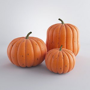 3d realistic pumpkins model