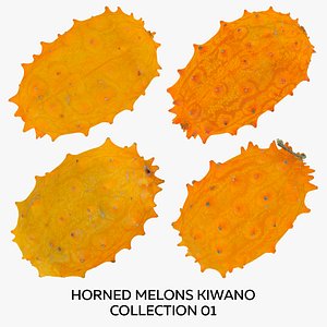 Horned Melons Kiwano Collection 01 - 4 models RAW Scans 3D