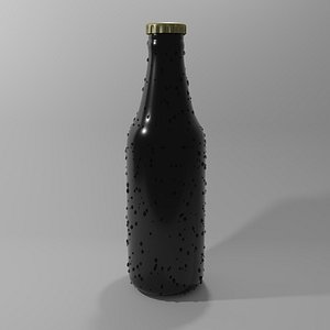 Beer Bottle Model