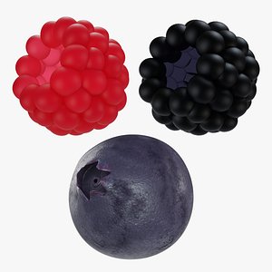 3D Berry collection model
