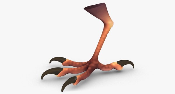 鳥の足3Dモデル - TurboSquid 1274467