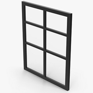 3D Window