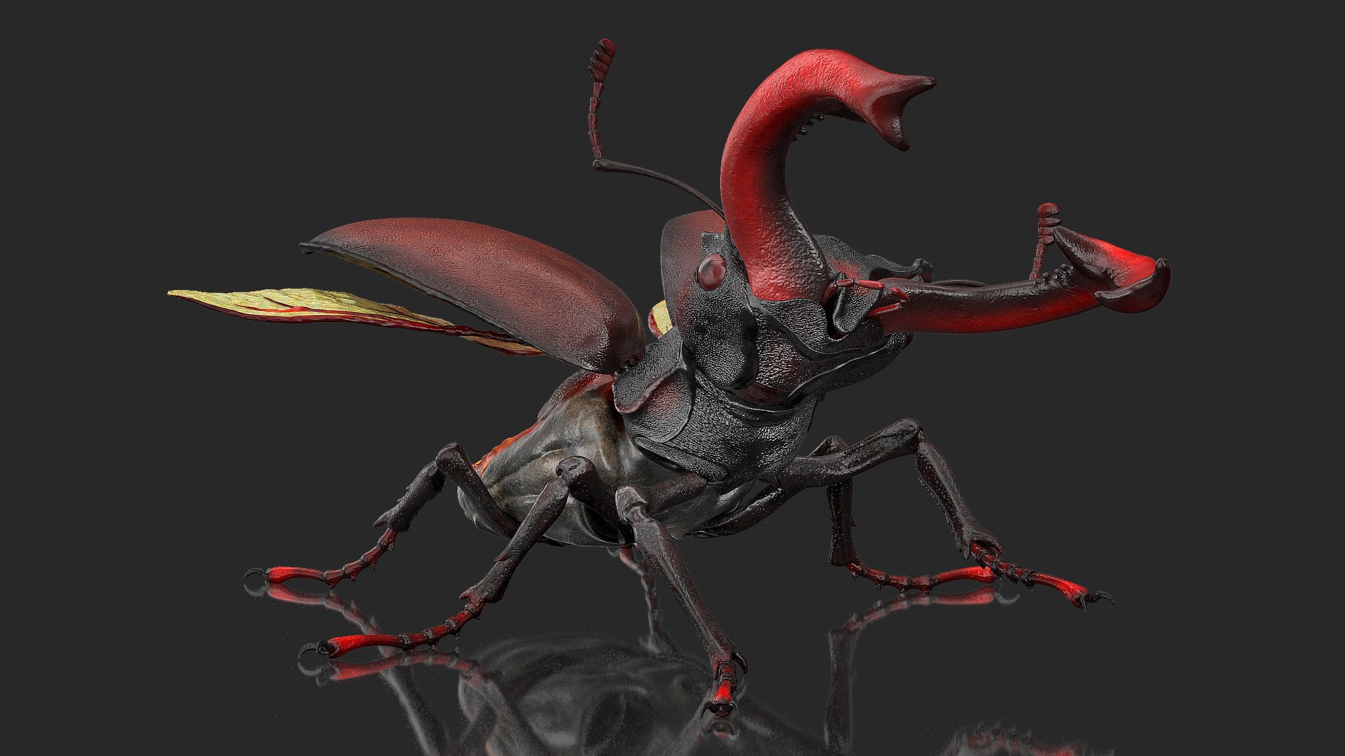 Lucanus Cervus Stag Beetle Rigged for Maya 3D model preview