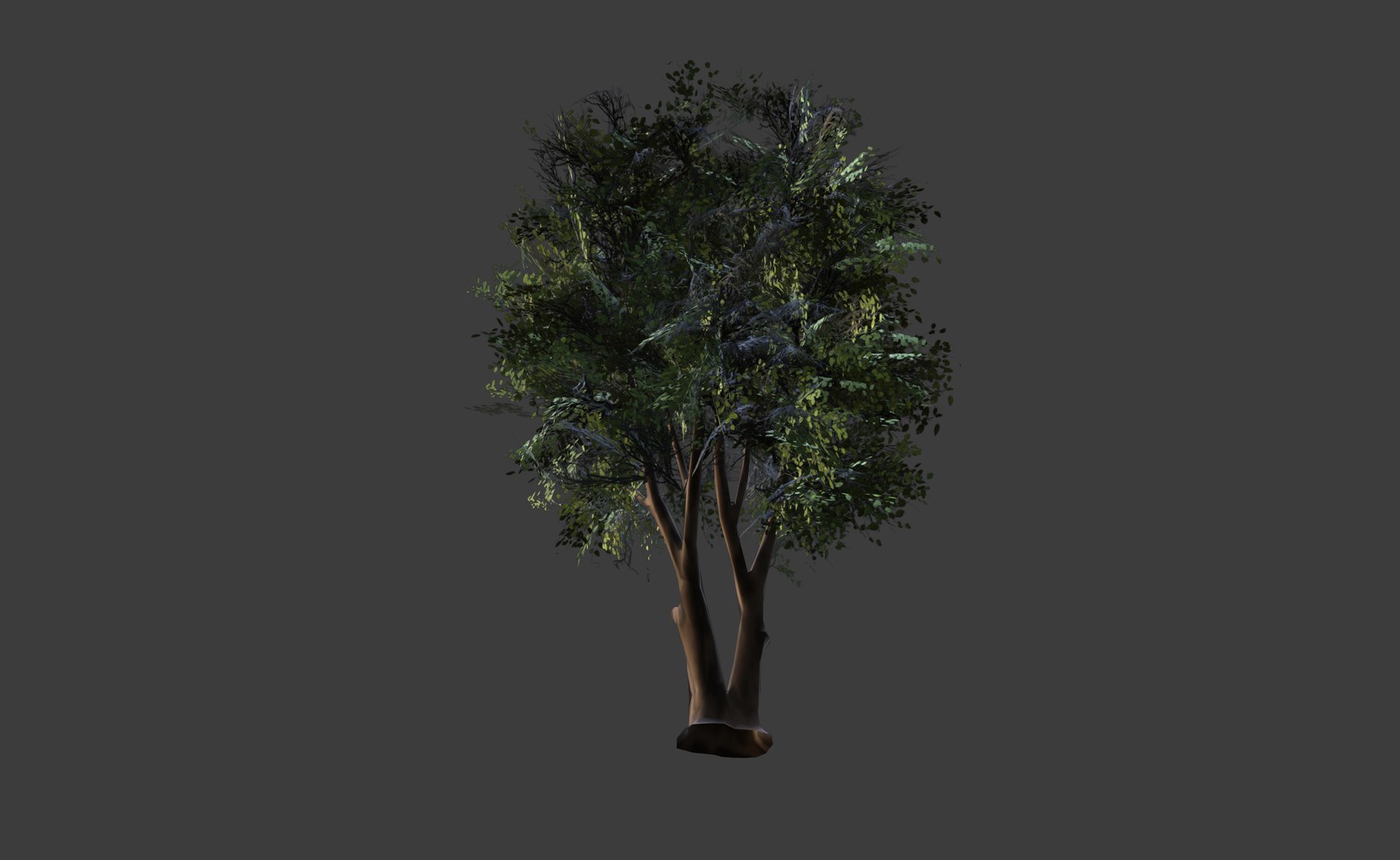 3D planes tree model https://p.turbosquid.com/ts-thumb/eq/dKtsvf/EA/upangle/png/1605294370/1920x1080/fit_q87/da32c3f80bc67fce1dc5ebef15e84cf04fe20089/upangle.jpg