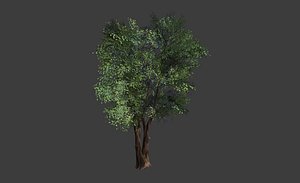 3D planes tree model