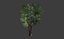 Baum mit modularen Ebenen