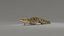 3D Crocodile ANIMATED