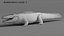 3D Crocodile ANIMATED