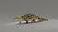 3D Crocodile ANIMATED