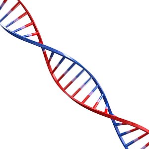 DNA