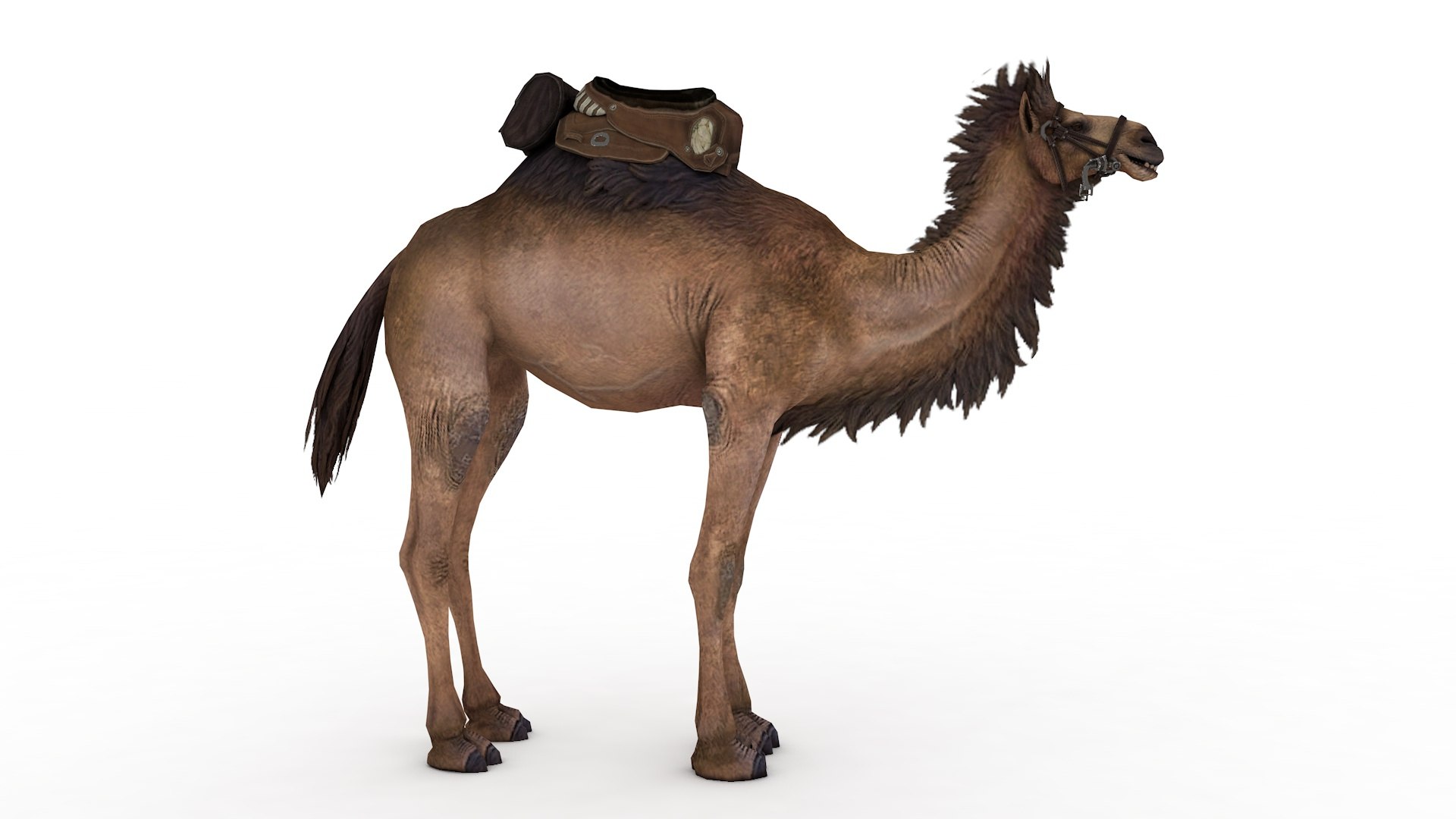 Camel Collection Rigged And Animated 3D Model - TurboSquid 2379729