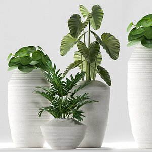 3D plants 260 indoor model