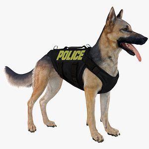 Police Shepherd Dog (Black & Tan)