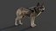 Wolf Xgen Rigged 3D model