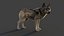 Wolf Xgen Rigged 3D model