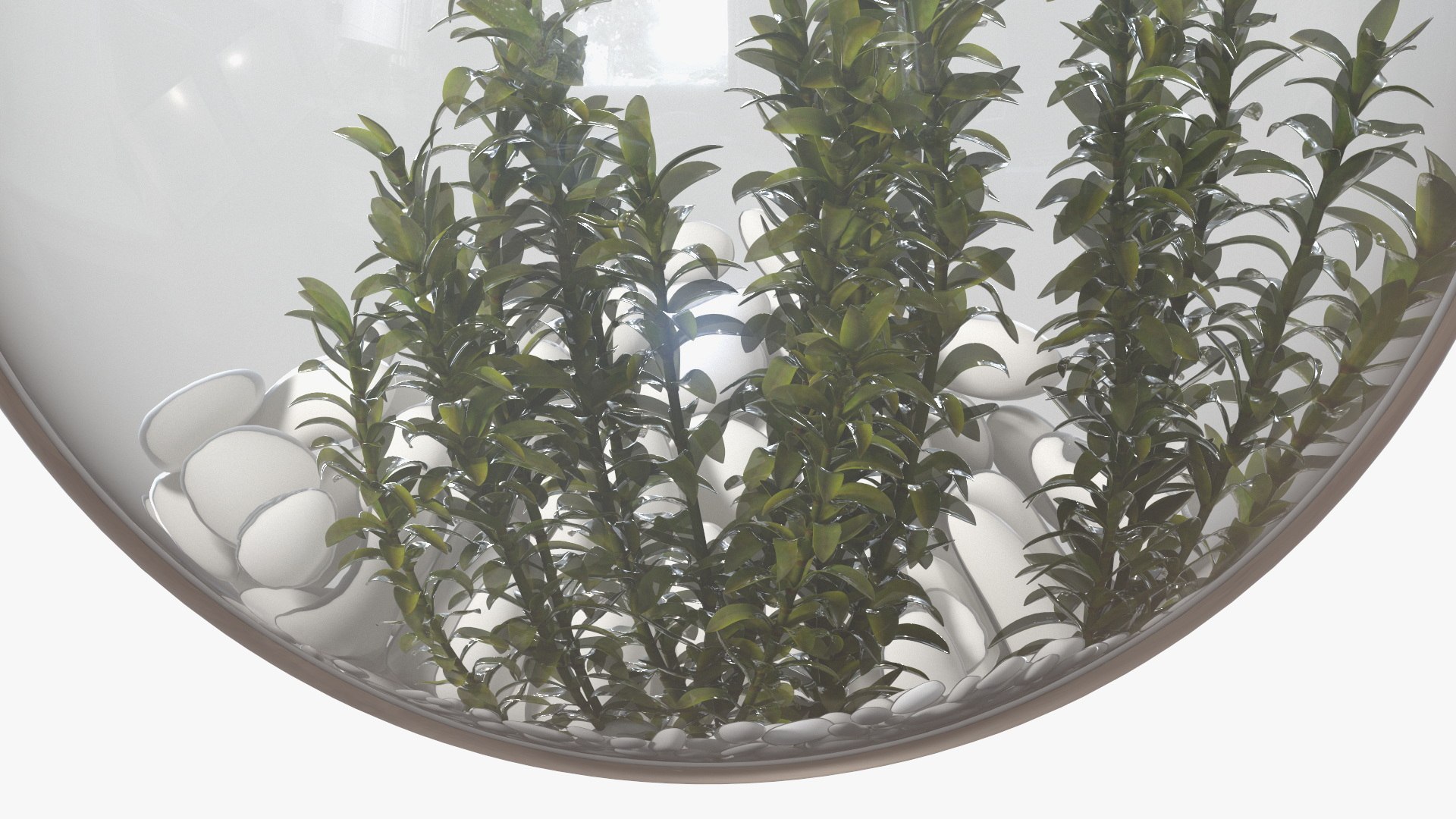 3D Fish Tanks Collection 3 model https://p.turbosquid.com/ts-thumb/er/aWZvnF/2I/fish_tanks_collection_3_025/jpg/1709197361/1920x1080/fit_q87/f91a0bfbf499d33da886e218c6c0d3dce505d1d6/fish_tanks_collection_3_025.jpg