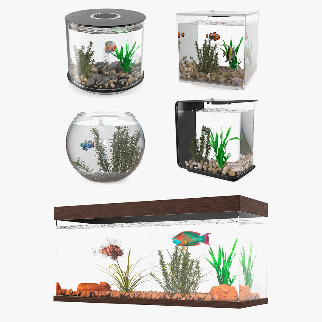 Fish Tanks Collection 3 3D model preview