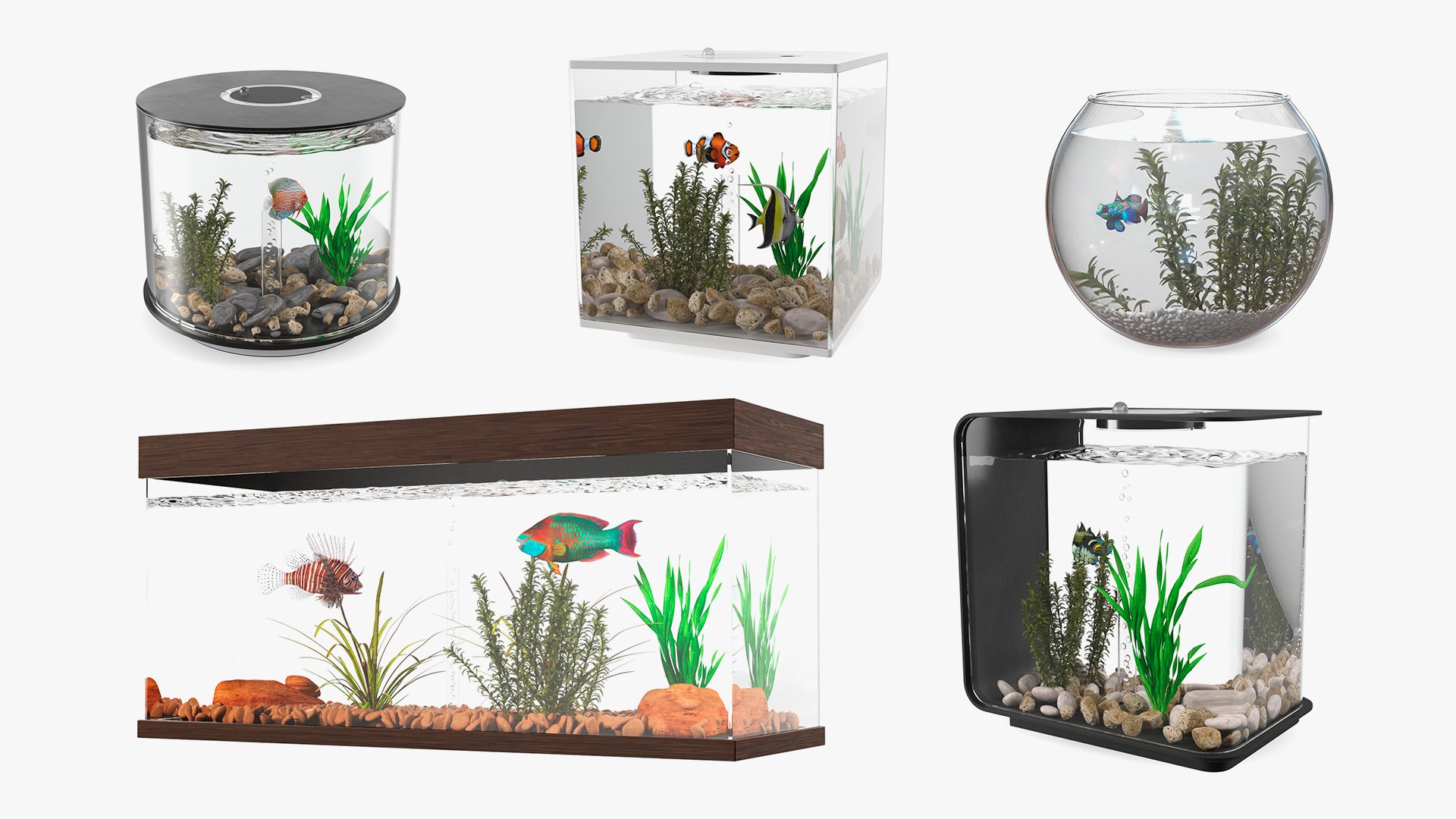 3D Fish Tanks Collection 3 model https://p.turbosquid.com/ts-thumb/er/aWZvnF/ry/fishtankscollection3mb3dmodel001/jpg/1709136267/1920x1080/fit_q87/6917acd025d2fe2a082002649488433db03ac058/fishtankscollection3mb3dmodel001.jpg