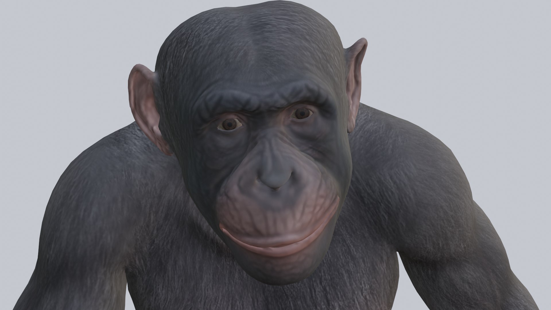 Monkey 3D Model - TurboSquid 2013215