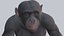 Monkey 3D model