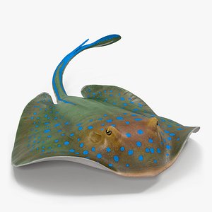 3d model blue spotted stingray rigged