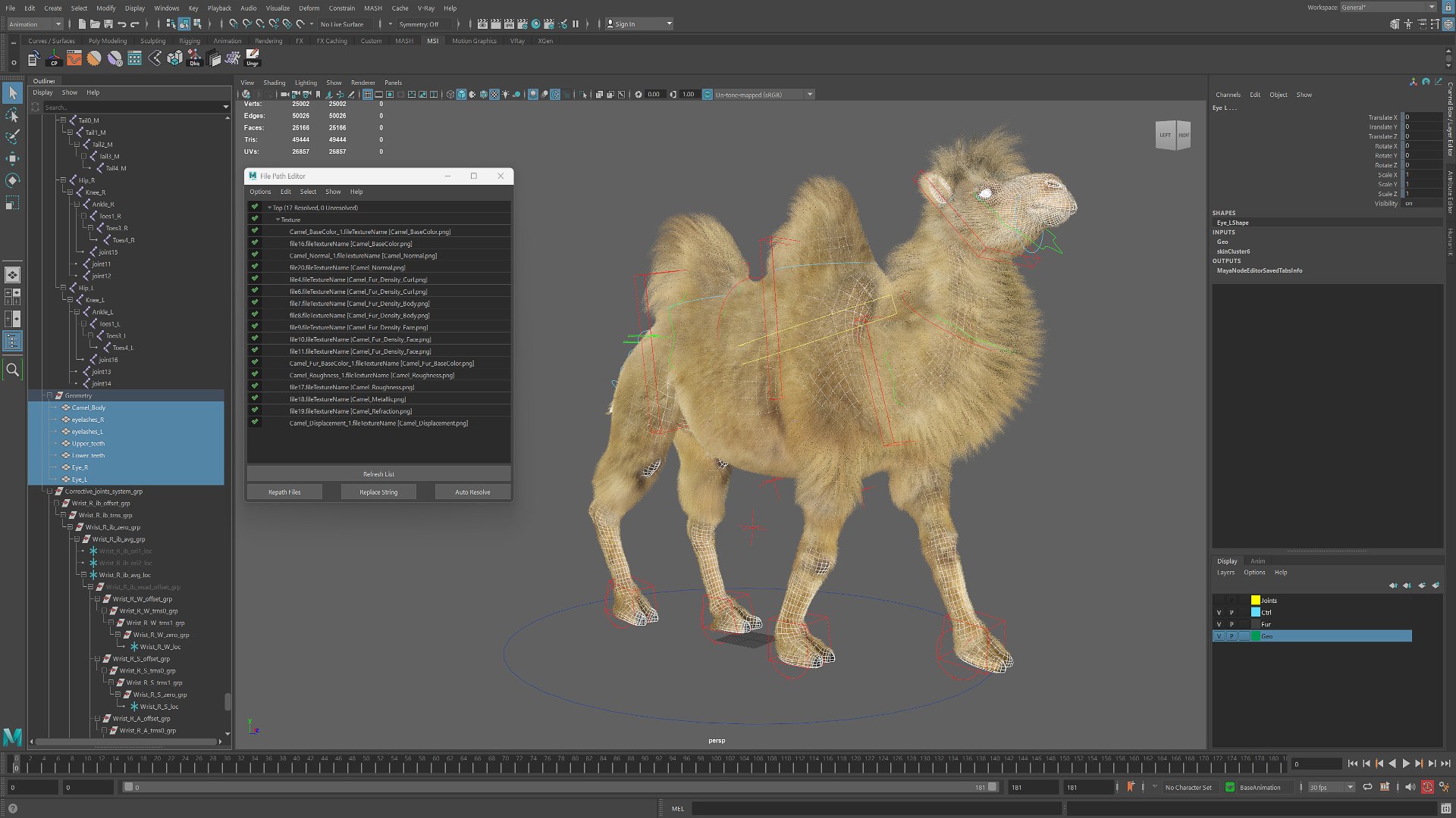 3D Bactrian Camel Fur Walking Animated Rigged for Maya model https://p.turbosquid.com/ts-thumb/er/plf132/1K/bactrian_camel_fur_walking_animated_rigged_for_maya_022/jpg/1777360480/1920x1080/fit_q87/e47d6a85ffcb3aff80302e8a8d717175422cedab/bactrian_camel_fur_walking_animated_rigged_for_maya_022.jpg