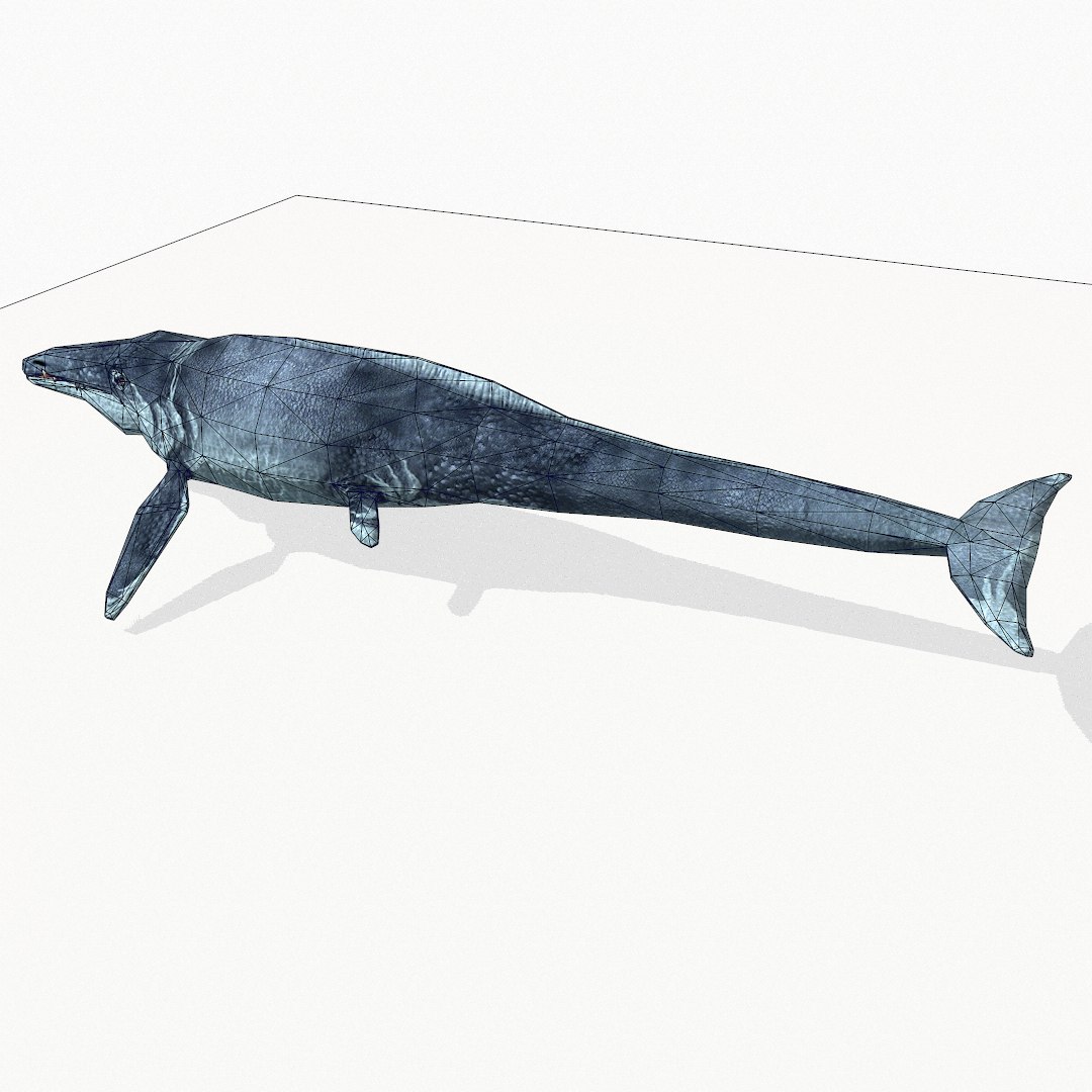 3ds Basilosaurus Marine