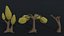 Low-poly Cartoon trees Polygonal Style 3D model