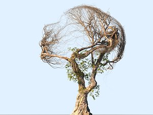 3D tree head hd model