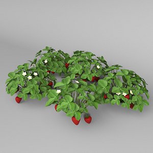 strawberry plants berry 3D