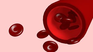 blood cell 3d model