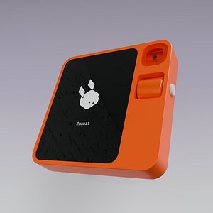 3D model 3D Model of Rabbit R1