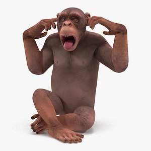 Light Chimpanzee Rigged